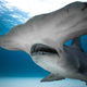 Illustration for article titled Discovery’s Shark Week begins in earnest with tonight’s triple feature